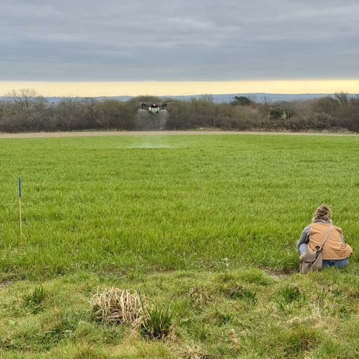 Gallery 5